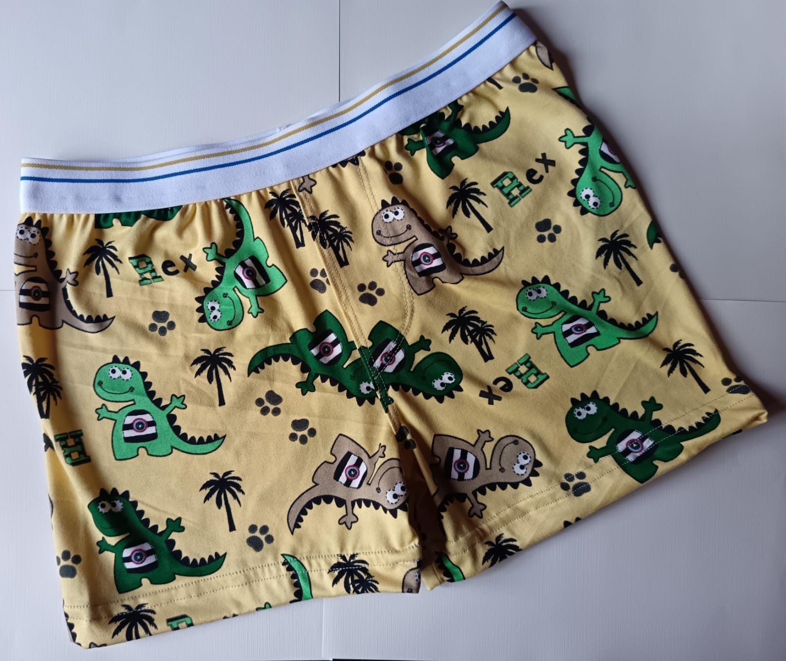 Boxer Niño 6 años